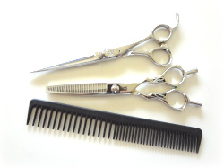 �n�T�~�ƃR�[���̎ʐ^