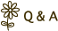 Q&A
