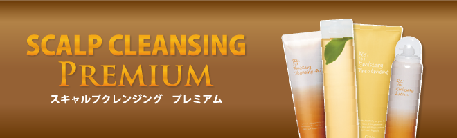 �X�L�����v�N�����W���O�v���~�A��